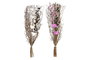 DKD Home Decor Ramo Cottage Blanco Rosa 30 x 65 x 30 cm (2 Unidades)