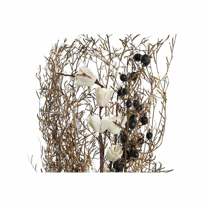 DKD Home Decor Surtido de 2 Ramos de Flores Secas 30x30x65 cm