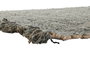 DKD Home Decor Alfombra Carpet knots Turquesa 160 x 1 x 230 cm