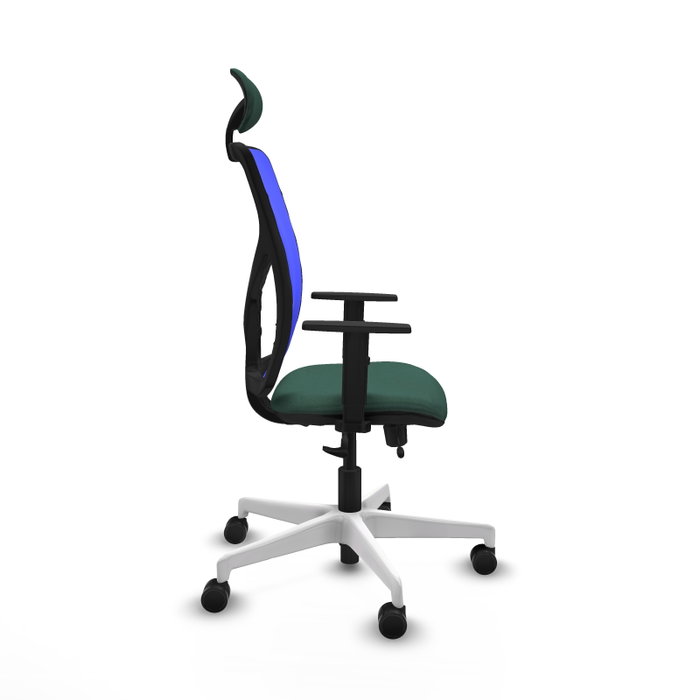 PIQUERAS Y CRESPO Silla de oficina Motilla con mecanismo Sincro/Traslack, Verde botella y Azul PIQUERAS Y CRESPO Silla de oficina Motilla con mecanismo Sincro/Traslack, Verde botella y Azul
