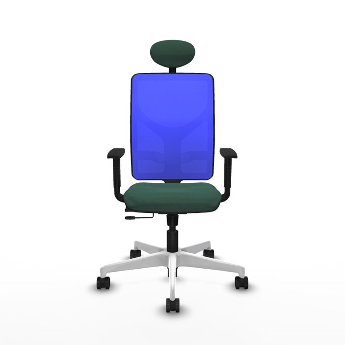 PIQUERAS Y CRESPO Silla de oficina Motilla con mecanismo Sincro/Traslack, Verde botella y Azul PIQUERAS Y CRESPO Silla de oficina Motilla con mecanismo Sincro/Traslack, Verde botella y Azul