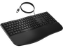 HP Teclado 480 Comfort Negro USB