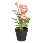 Ixia Set de 2 Plantas de Flor Rosa Artificial Decoración 12,50 x 12,50 x 37 cm