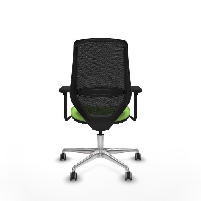 PIQUERAS Y CRESPO Silla de oficina Mardos con mecanismo Sincro/Traslack, Pistacho y Negro PIQUERAS Y CRESPO Silla de oficina Mardos con mecanismo Sincro/Traslack, Pistacho y Negro