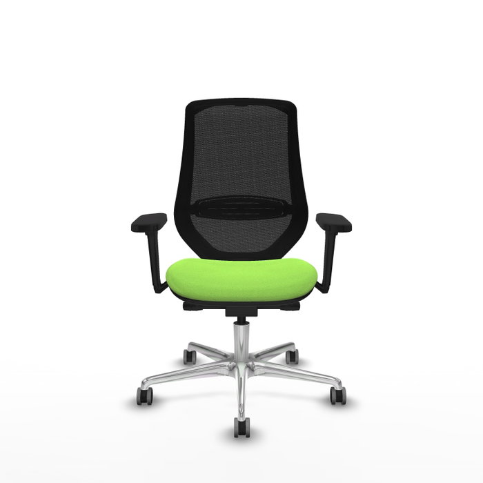 PIQUERAS Y CRESPO Silla de oficina Mardos con mecanismo Sincro/Traslack, Pistacho y Negro PIQUERAS Y CRESPO Silla de oficina Mardos con mecanismo Sincro/Traslack, Pistacho y Negro