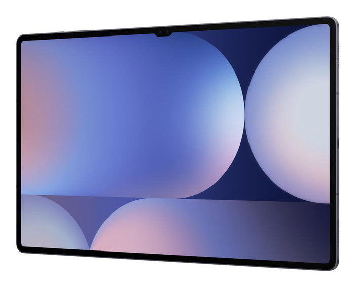 Samsung Galaxy Tab S10 Ultra 256GB Wi-Fi Gris Samsung Galaxy Tab S10 Ultra 256GB Wi-Fi Gris