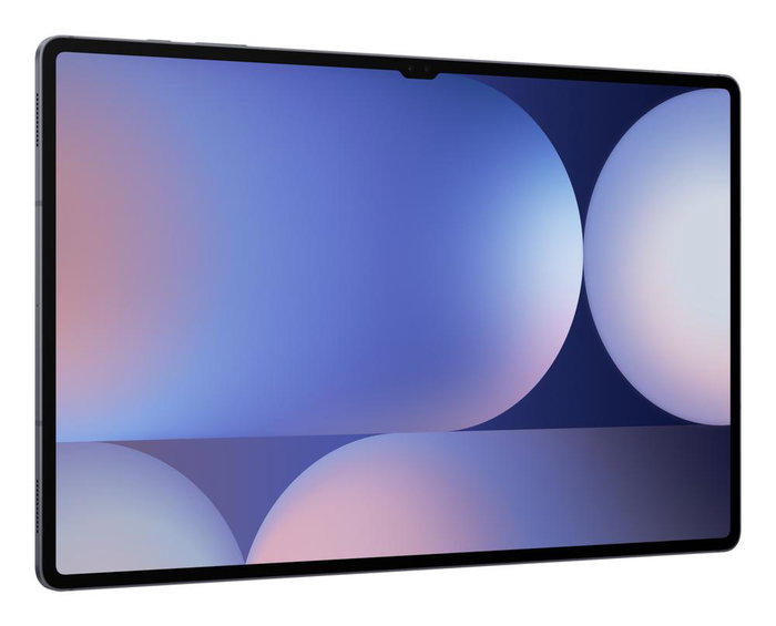 Samsung Galaxy Tab S10 Ultra 256GB Wi-Fi Gris Samsung Galaxy Tab S10 Ultra 256GB Wi-Fi Gris
