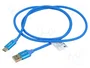 Lanberg Cable USB 2.0 de 1 m con conectores USB tipo C y USB tipo A, Azul
