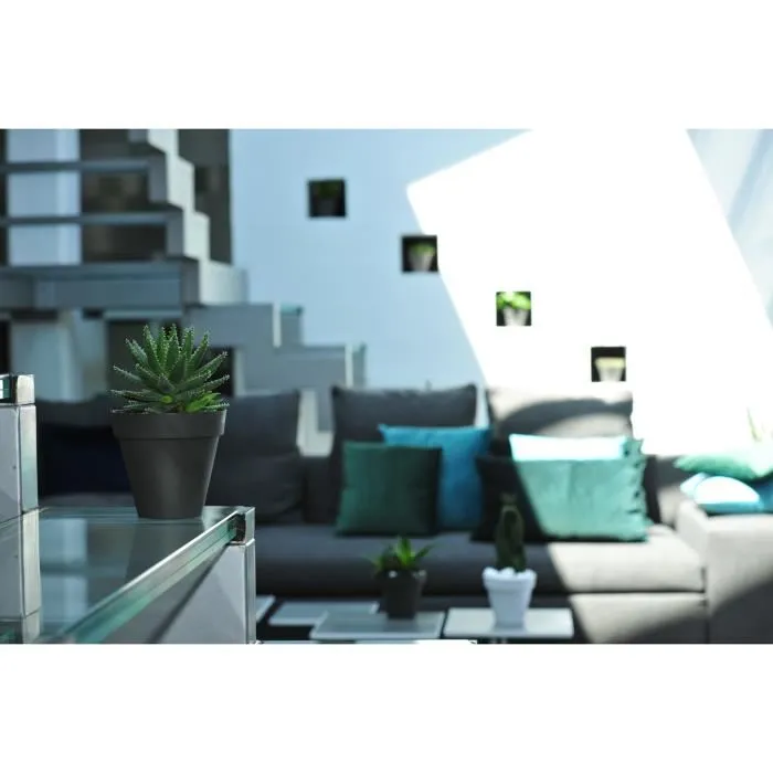 Riviera Rond 50 Blanco - Bote con Sistema de Retención de Agua, 100% Reciclable, Fabricación Francesa