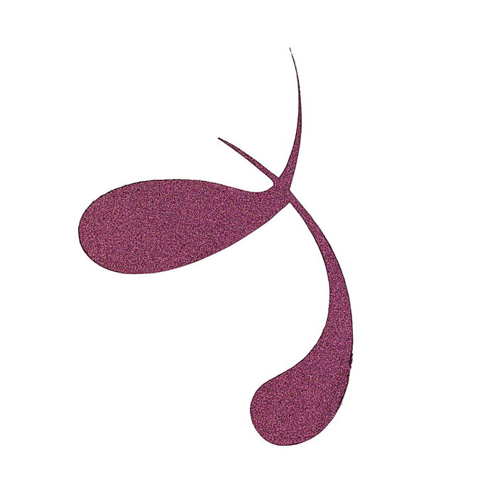 Essence COLOUR IT! Eyeliner Líquido Metálico 02-Dark Cherry