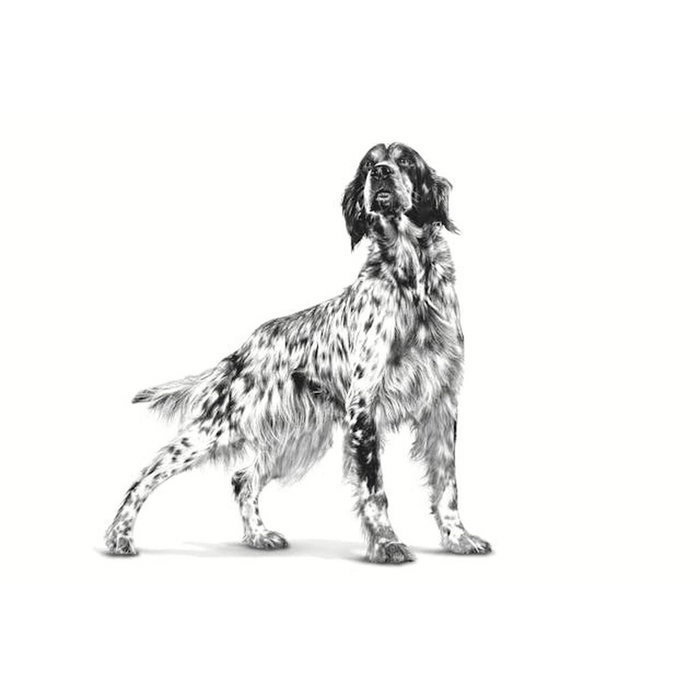 Royal Canin Canine Hepatic 7kg