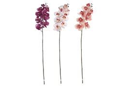 DKD Home Decor Flores de Orquídea Surtido de 3 Colores