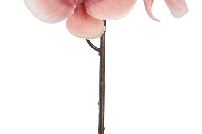 DKD Home Decor Flor Orquídea 20 x 95 x 20 cm Rosa Palo Fucsia (18 Unidades)
