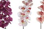 DKD Home Decor Flor Orquídea 20 x 95 x 20 cm Rosa Palo Fucsia (18 Unidades)