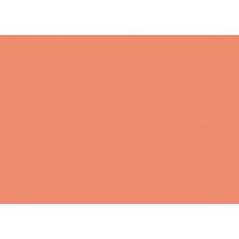 Iris Cartulina Coral 297x420 mm 185 gr -50U-