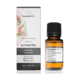 Terpenic Aceite Esencial Alimentario de Carvi Alcaravea 10 ml