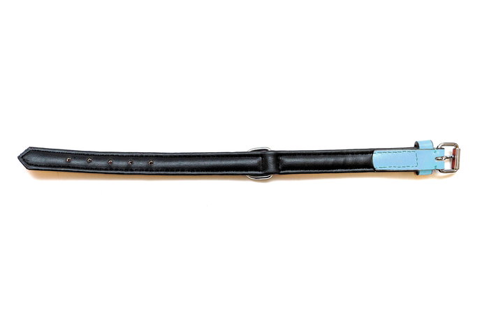 Gloria Collar Piel Acolchado para Perro 30 cm x 1.5 cm Azul Suave y Resistente