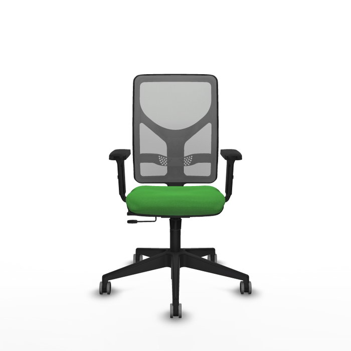 PIQUERAS Y CRESPO Silla de oficina Motilla con mecanismo Sincro/Traslack, Verde y Gris PIQUERAS Y CRESPO Silla de oficina Motilla con mecanismo Sincro/Traslack, Verde y Gris