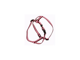 Sandimas Arnés H de Nailon Rojo 20mm