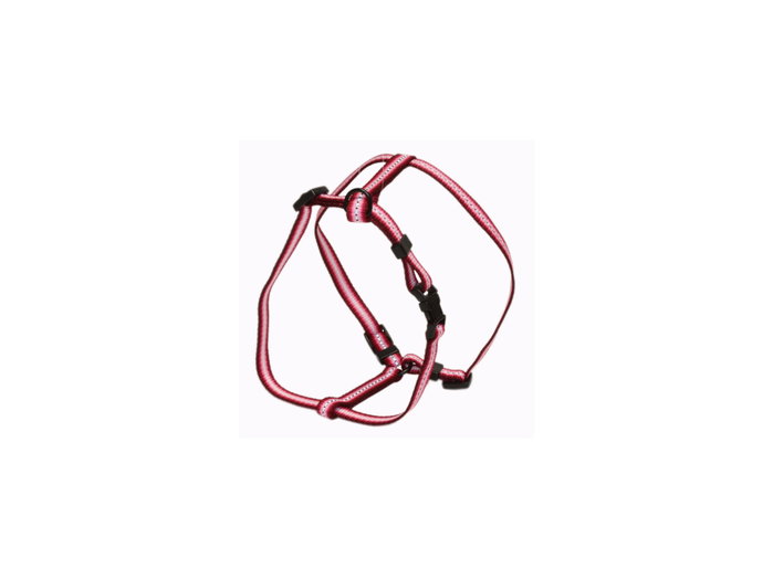Sandimas Arnés H de Nailon Rojo 20mm Sandimas Arnés H de Nailon Rojo 20mm