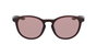 Nike EVOLUTION-E-DZ7361-5119220 Gafas de sol con cristales marrones