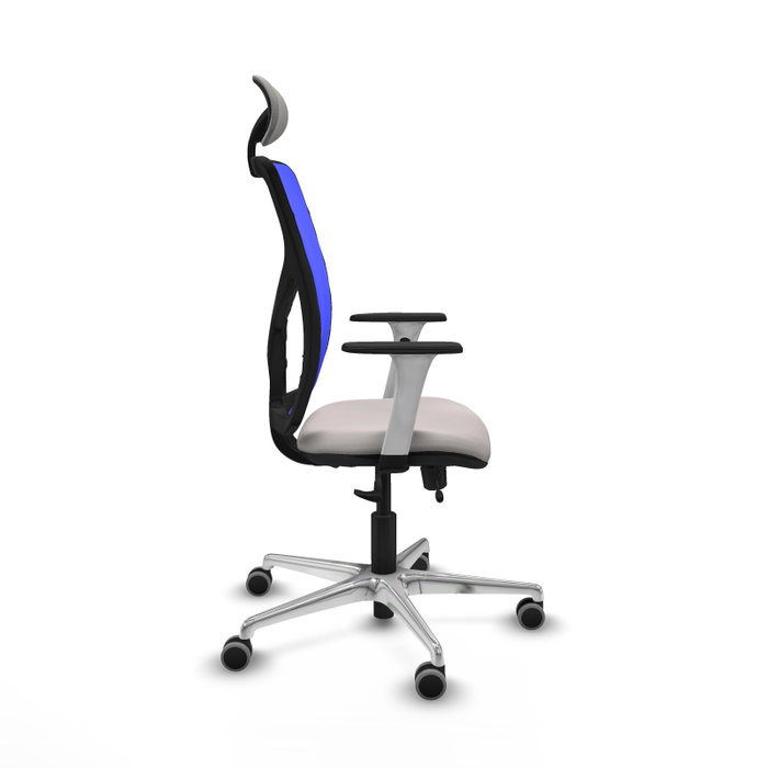PIQUERAS Y CRESPO Silla de oficina Motilla con mecanismo Sincro/Traslack, Blanco y Azul PIQUERAS Y CRESPO Silla de oficina Motilla con mecanismo Sincro/Traslack, Blanco y Azul