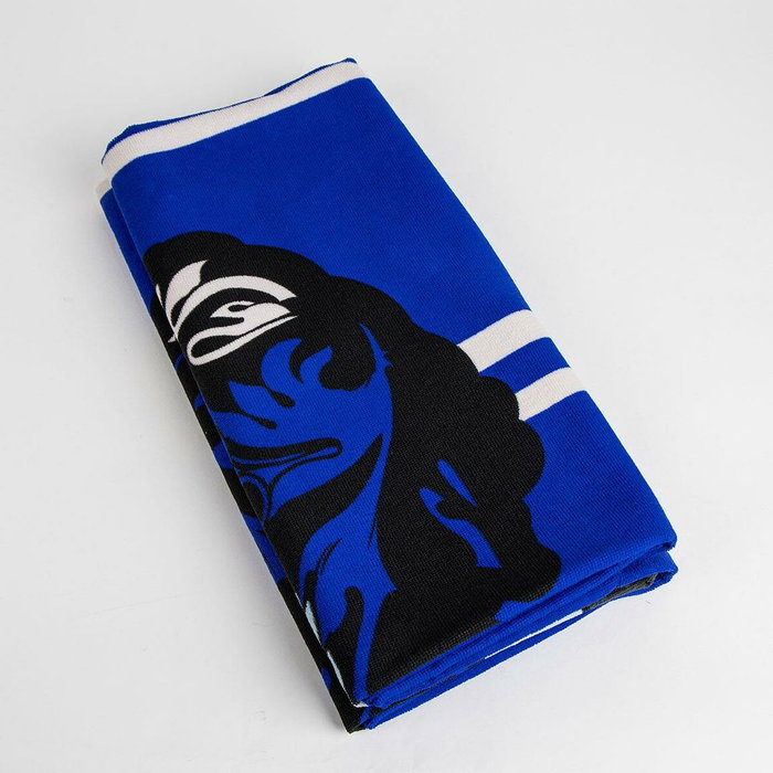Cerdá Toalla de Microfibra Harry Potter Ravenclaw Azul