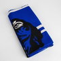 Cerdá Toalla de Microfibra Harry Potter Ravenclaw Azul