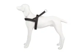 Freedog Arnés Shiva Sport Gris Talla S 20 mm para Perros con Contorno de Pecho de 54-64 cm