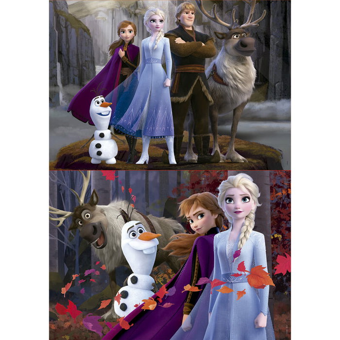 Educa Borras Puzzle Frozen 2 Disney 2x100pzs 40x28cm