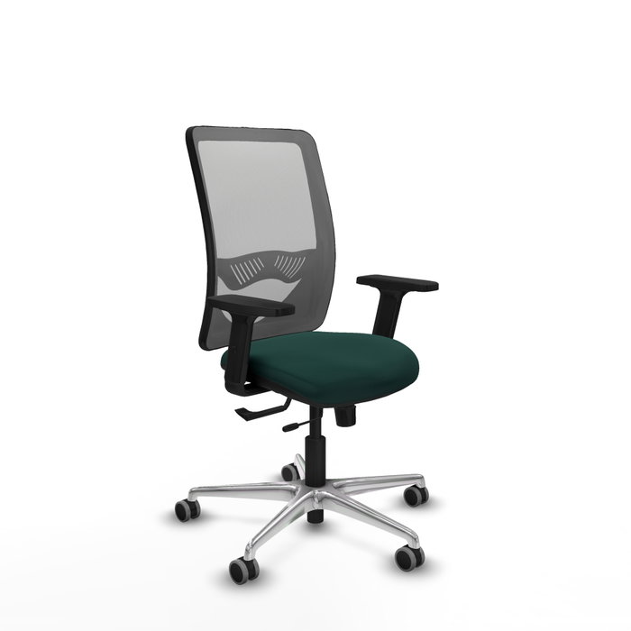 PIQUERAS Y CRESPO Silla de oficina Zulema con mecanismo Sincro/Traslack, Verde botella y Gris PIQUERAS Y CRESPO Silla de oficina Zulema con mecanismo Sincro/Traslack, Verde botella y Gris