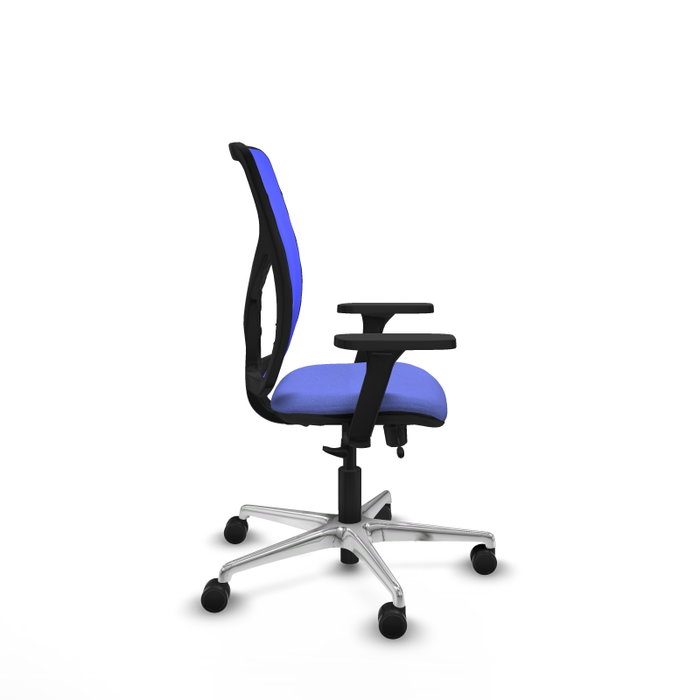 PIQUERAS Y CRESPO Silla de oficina Motilla con mecanismo Sincro/Traslack Azul PIQUERAS Y CRESPO Silla de oficina Motilla con mecanismo Sincro/Traslack Azul