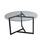 Hanah Home Mesa de Centro S402, Cristal Templado y Metal, 75x75x42 cm