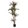 Planta Dracena Verde Artificial 160 cm