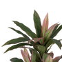 Planta Dracena Verde Artificial 160 cm