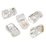 Gembird Conectores RJ-45 Cat.5 UTP Sólidos, Pack de 50 uds