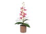 Ibergarden Maceta Terracota Flor Rosa Claro 10 x 25 x 50 cm (Set de 6)