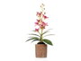 Ibergarden Maceta Terracota Flor Rosa Claro 10 x 25 x 50 cm (Set de 6)