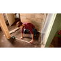 Bosch UniversalLevel 3 Maxi Set Kreuzlinien-Laser