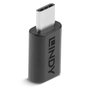 Lindy 41893 Adaptador USB 3.2 Type C Macho a Hembra, Cambiador de Género, Negro