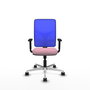 PIQUERAS Y CRESPO Silla de oficina Motilla con mecanismo Sincro, Rosa y Azul