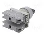SPAMEL Interruptor Rotativo SP22 Negro 22mm 3 Posiciones