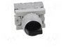 SPAMEL Interruptor Rotativo SP22 Negro 22mm 3 Posiciones