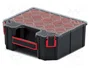 KISTENBERG TAGER 30 Contenedor Colectivo con Cajitas