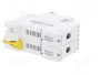 SCHNEIDER ELECTRIC Interruptor magnetotérmico C60H-DC 2 polos 4A
