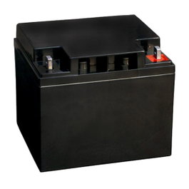 BOSCH IPS-BAT12V-45AH Batería de Emergencia 12V 40000 mAh