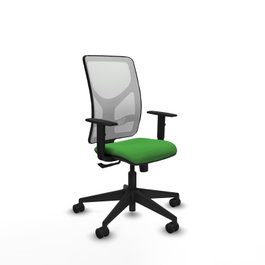 PIQUERAS Y CRESPO Silla de oficina Motilla con mecanismo Sincro, asiento Verde y malla Blanco