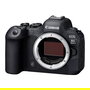 Canon EOS R6 Mark II (5666C004) Cuerpo de Cámara Mirrorless Full Frame de 24.2 MP, 4K UHD, Sensor CMOS, Pantalla Táctil LCD de 3", Doble Ranura SD, Negro
