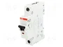 ABB S201-B16 Disyuntor Compacto 16 A 1-polos