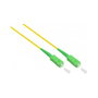 GoodConnections Cable de parcheo OS2 LWL Spx SC/SC SM 9/125Á 30m